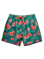 None-46/46f8a25ebb9049ece0f20aea08ae26c1a8460a80