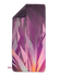 None-79/79067a013e7a55b44b22781c26ace3622e592a06