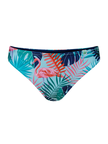 Dół od wesołego bikini Dziki flaming