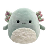 Squishmallows aksolotl z puszystym brzuszkiem Chasmen, 30 cm