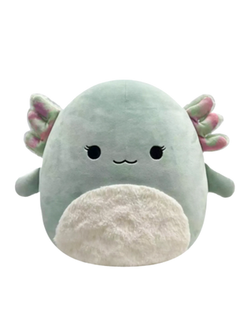 Squishmallows aksolotl z puszystym brzuszkiem Chasmen, 30 cm