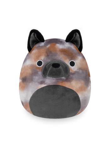 Squishmallows pies Ballis, 20 cm